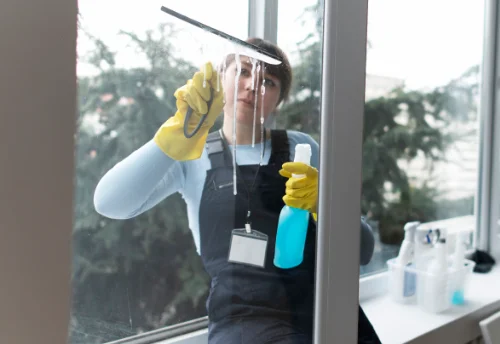 Nettoyage de vitres intérieures et extérieures à Dangeul